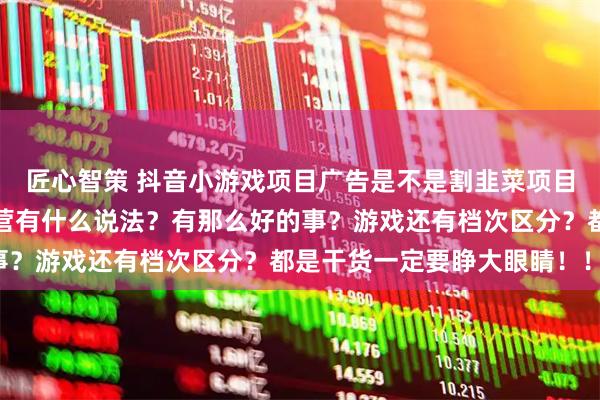 匠心智策 抖音小游戏项目广告是不是割韭菜项目？保本协议和全程代运营有什么说法？有那么好的事？游戏还有档次区分？都是干货一定要睁大眼睛！！！