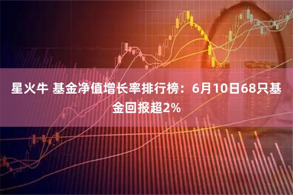 星火牛 基金净值增长率排行榜：6月10日68只基金回报超2%