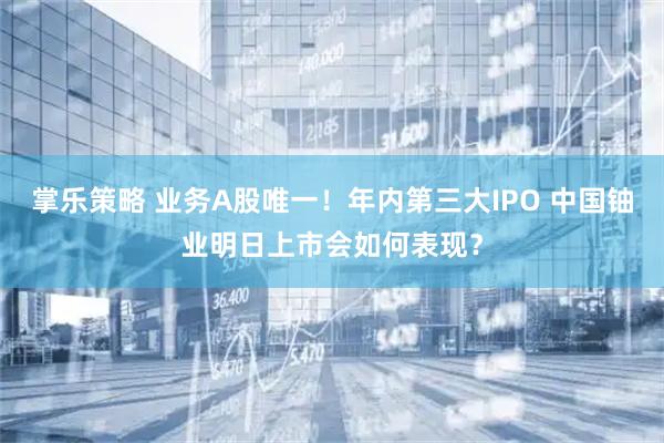 掌乐策略 业务A股唯一！年内第三大IPO 中国铀业明日上市会如何表现？