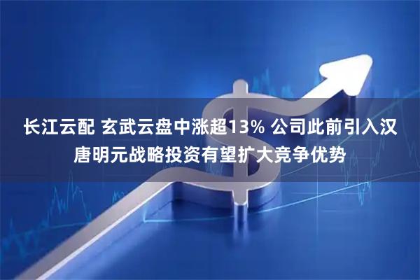 长江云配 玄武云盘中涨超13% 公司此前引入汉唐明元战略投资有望扩大竞争优势