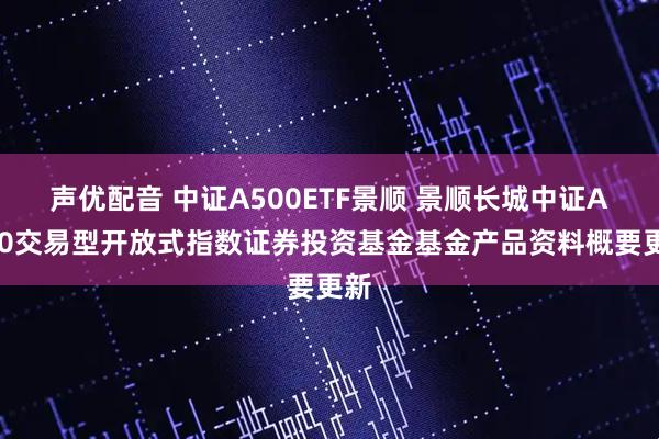 声优配音 中证A500ETF景顺 景顺长城中证A500交易型开放式指数证券投资基金基金产品资料概要更新