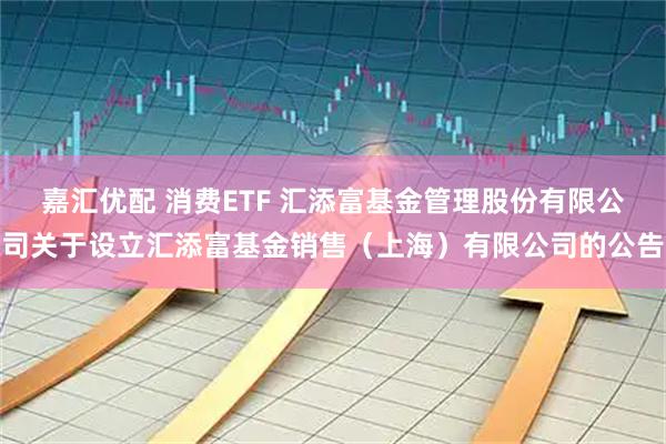 嘉汇优配 消费ETF 汇添富基金管理股份有限公司关于设立汇添富基金销售（上海）有限公司的公告