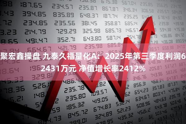 聚宏鑫操盘 九泰久福量化A：2025年第三季度利润62431万元 净值增长率2412%