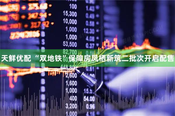 天鲜优配 “双地铁”保障房凤栖新筑二批次开启配售