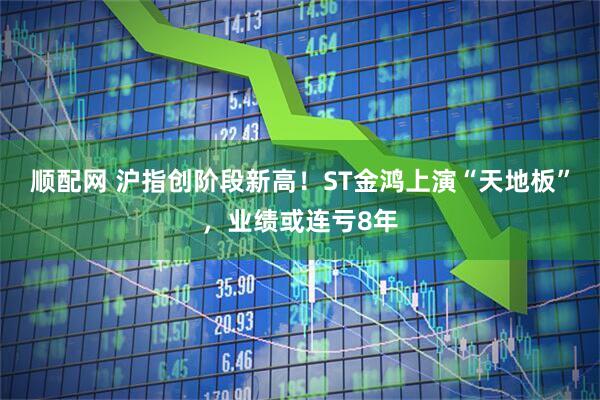 顺配网 沪指创阶段新高！ST金鸿上演“天地板”，业绩或连亏8年